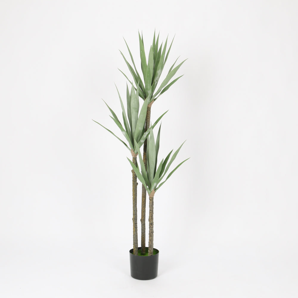 Elegant Gladiolus in Black Pot, 91 cm Tall