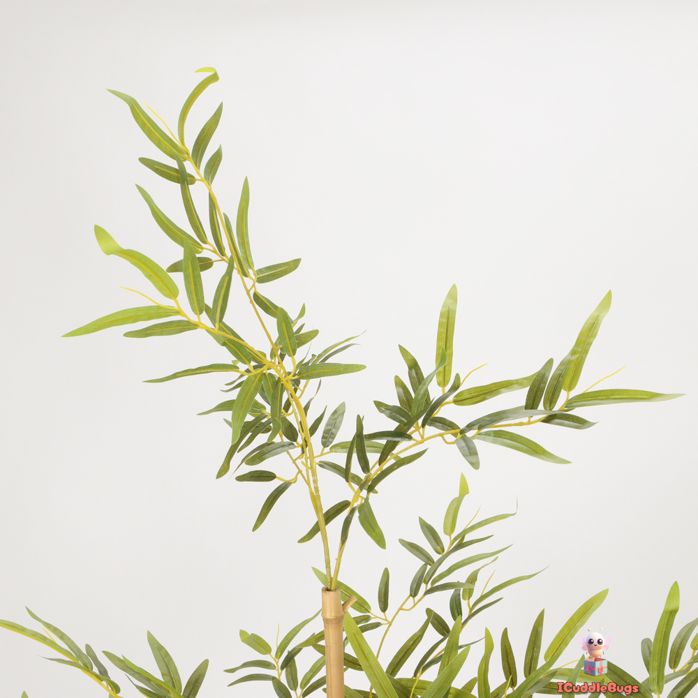 Serene Bamboo in Sleek Black Pot