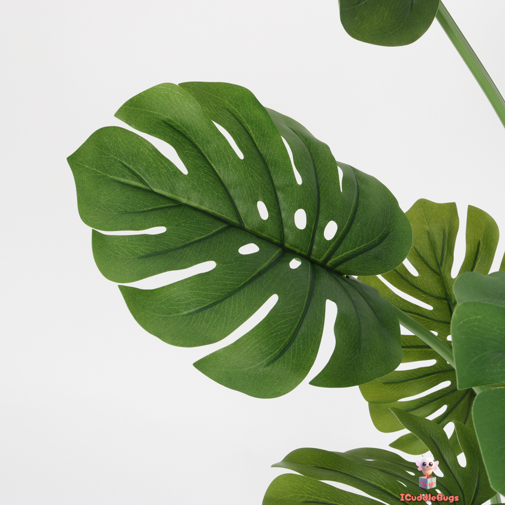 Tropical Monstera in Matte Black Pot
