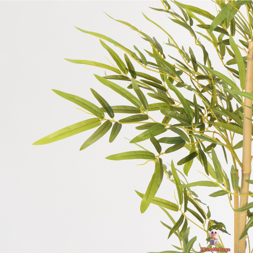 Serene Bamboo in Sleek Black Pot