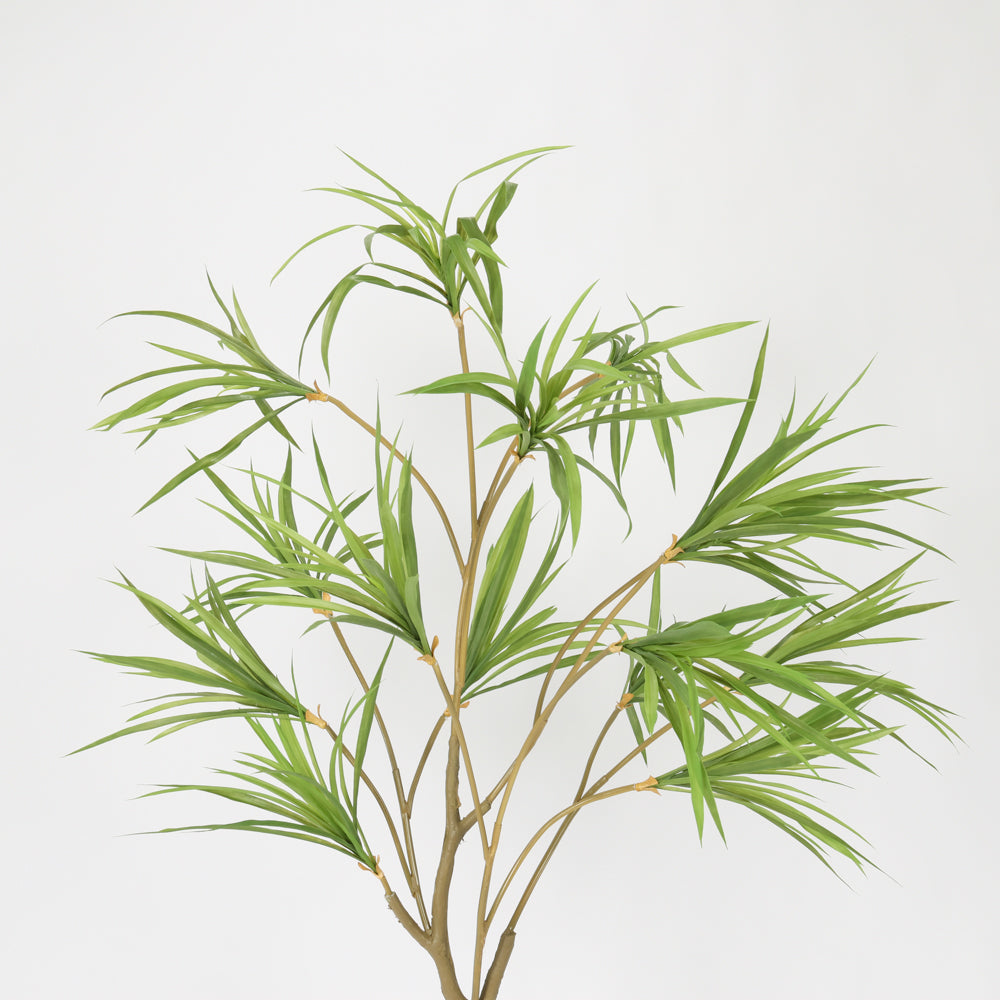 Contemporary Black Basin Spider Plant, 1.5 m