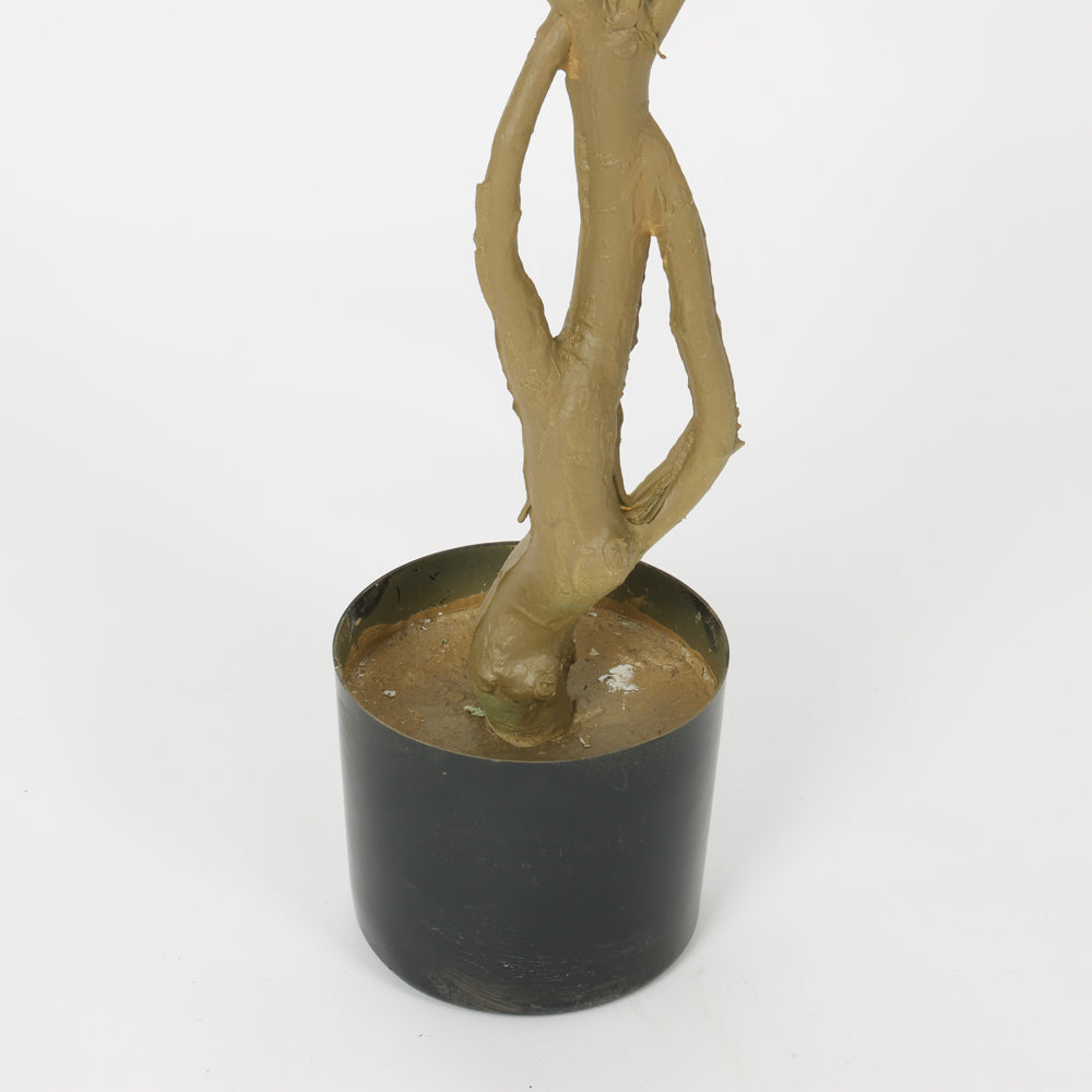 Contemporary Black Basin Spider Plant, 1.5 m