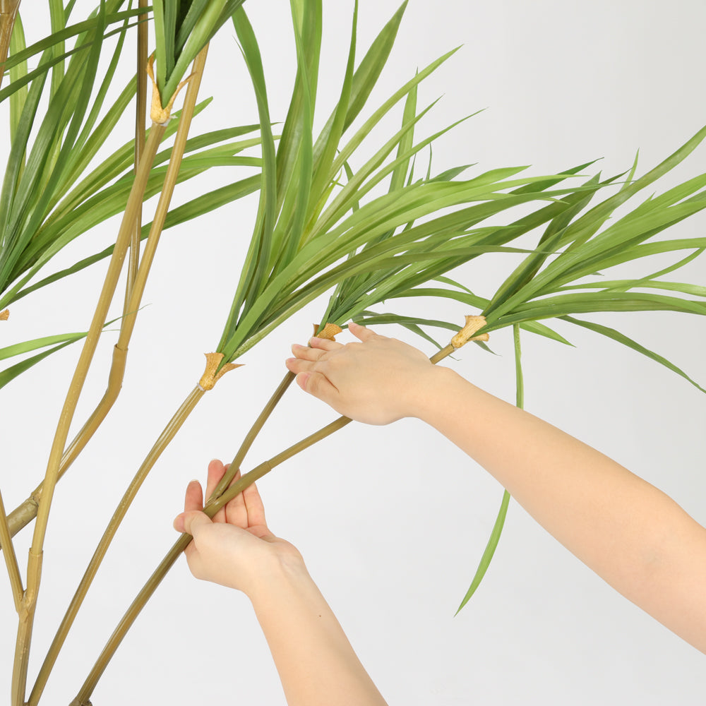 Contemporary Black Basin Spider Plant, 1.5 m