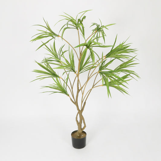 Contemporary Black Basin Spider Plant, 1.5 m
