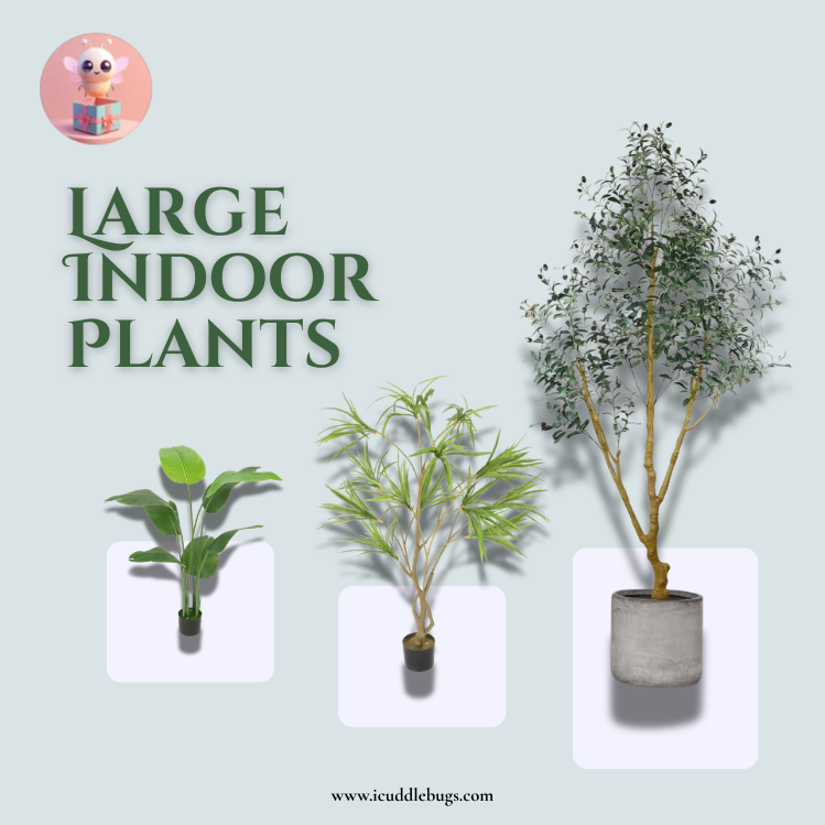Large Indoor Plants in Glasgow, UK – Popular Choices for Modern Interiors