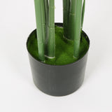 Traveler's Palm in Black Pot, 150cm Height