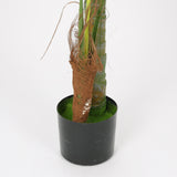 Dwarf Palm in Designer Black Pot, 1.5 m