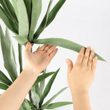 Elegant Gladiolus in Black Pot, 91 cm Tall