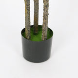 Elegant Gladiolus in Black Pot, 91 cm Tall