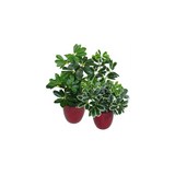 55cm Dark Green Artificial Umbrella Plant