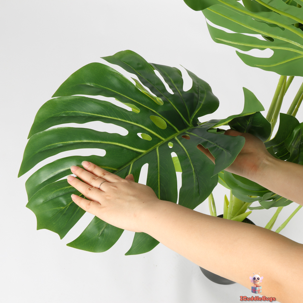 monstera plant black stem Multi-Stem Monstera in Black Planter