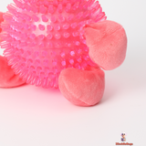 Compact Pet Chew Toy – Fun and Resilient Design