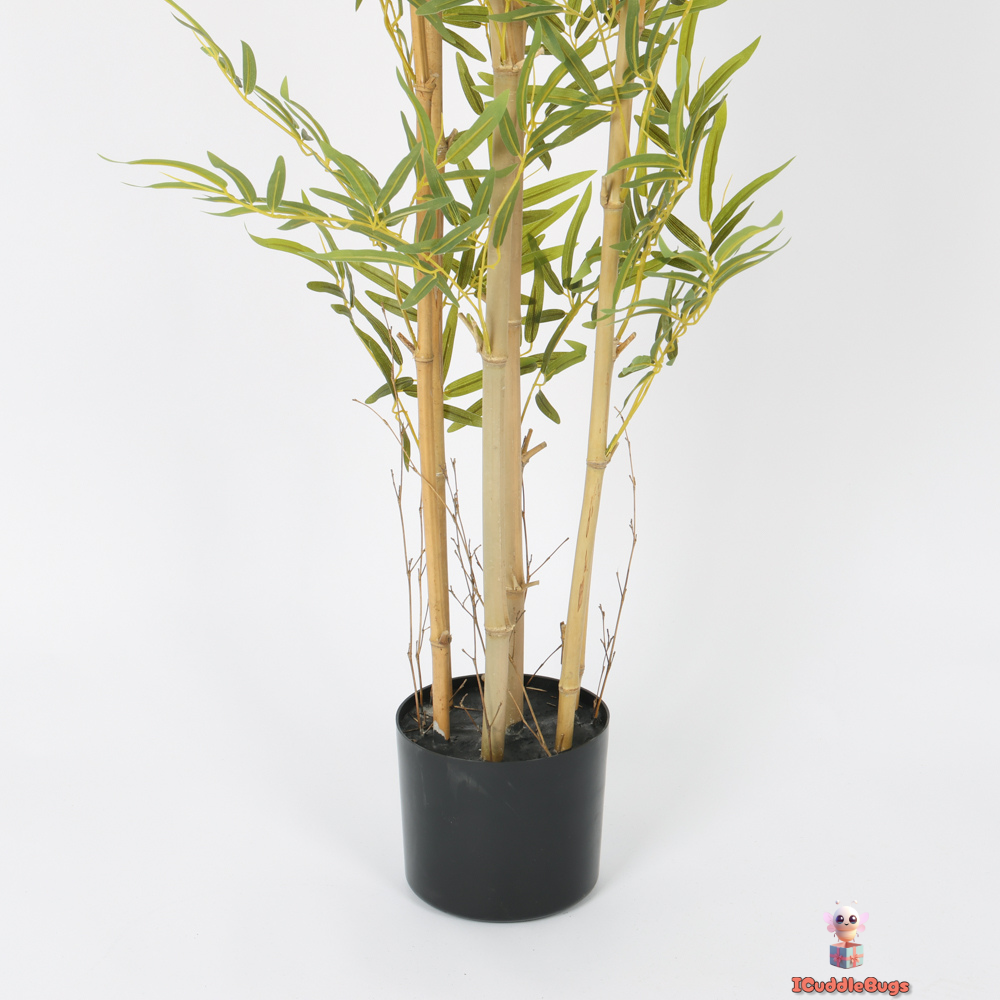 Serene Bamboo in Sleek Black Pot