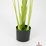 Lush Multi-Stem Monstera with Designer Black Planter