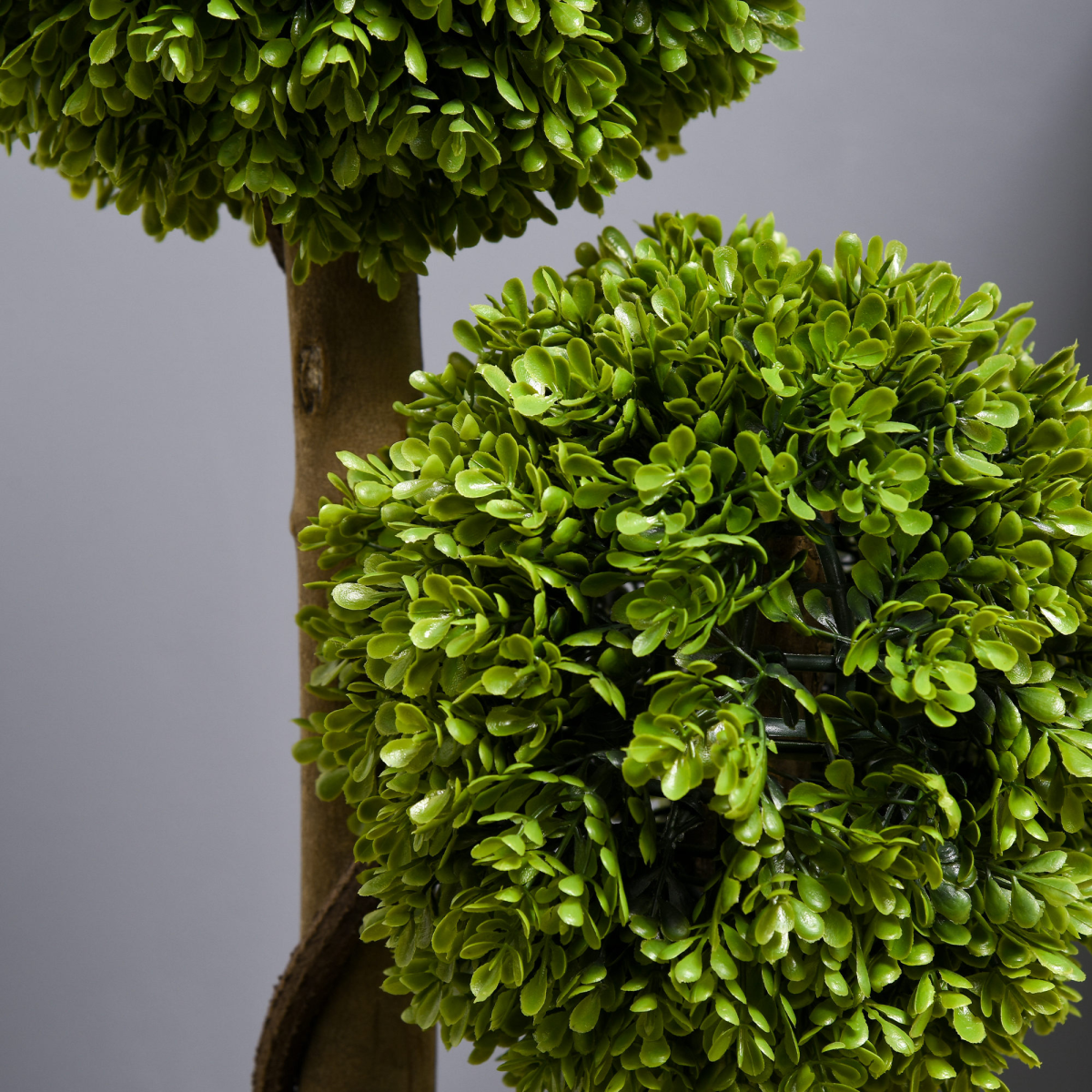 Artificial Plant;
