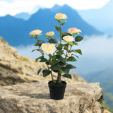 58CM ARTIFICIAL CAMELLIA PLANT