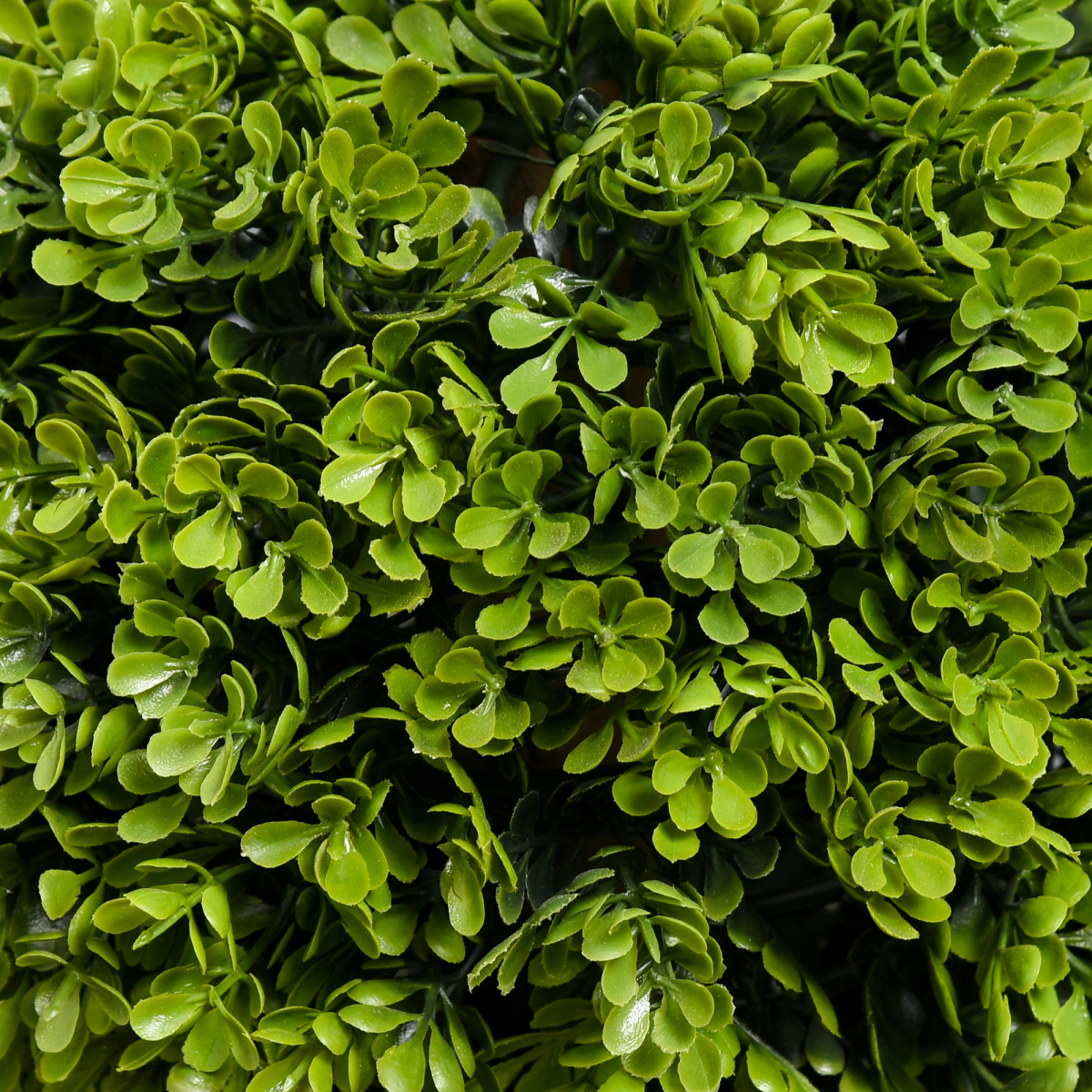 Artificial Plant;