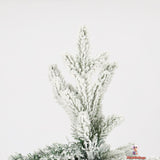 Snow-Covered White Christmas Tree