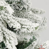 Snow-Covered White Christmas Tree