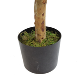 100cm Artificial Dracaena Plant Tree with Pot Premium Range