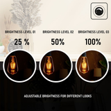5Pack E27 LED Edison Dimmable Vintage Amber Glass Warm white 2700K Light Bulb